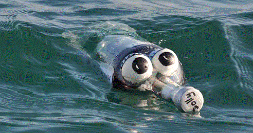 bottle Dolly Dorset, floating somewhere in the sea