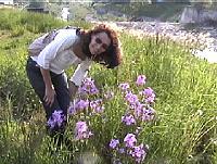 June in the Dolomites