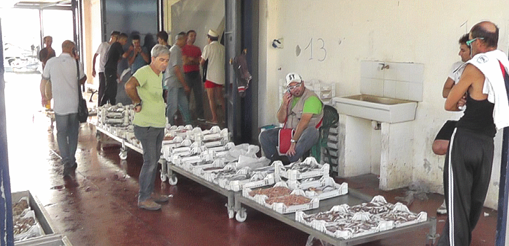 inside fish market