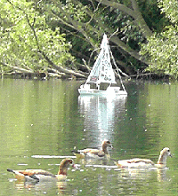 Snoopy after pushed out from trees on 5th July 2013