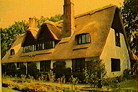 Thatched House