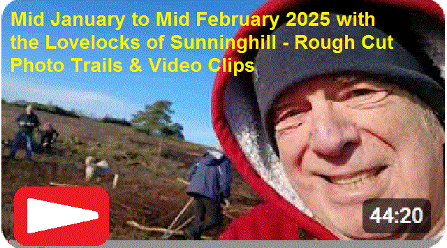 Mid January to Mid February Photo Trails