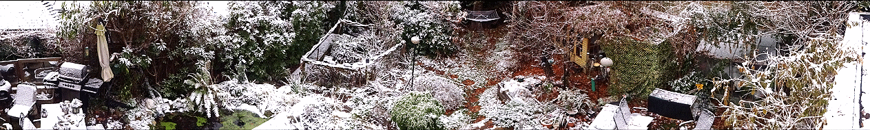 Panorama of Back Garden