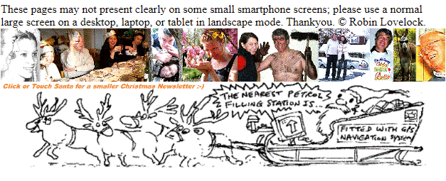 Short 2020 Christmas Newsletter header